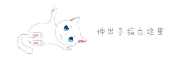 猫咪与美容师最怕的狗？——可蒙犬，造型酷似拖把，也是狼族天敌