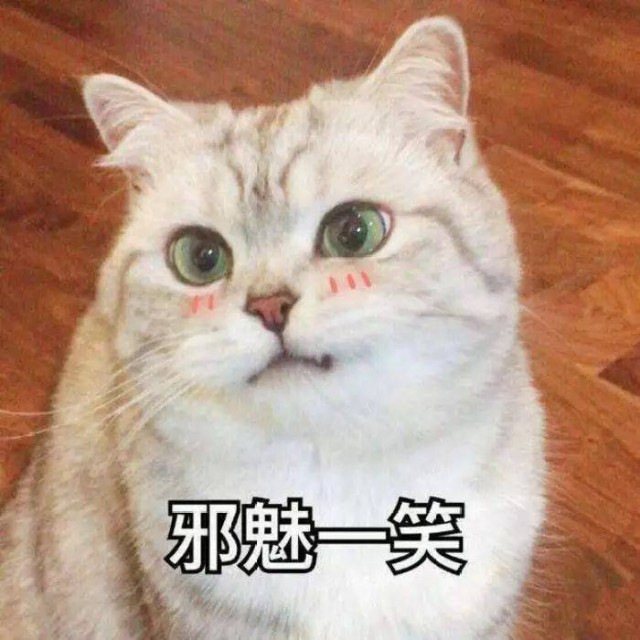 和猫玩，可以给猫带来这四大“好处”，不要忽悠你！